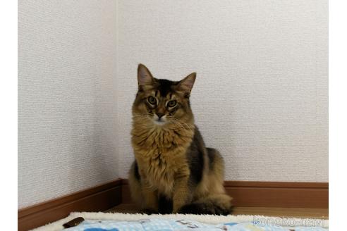 くん1枚目
